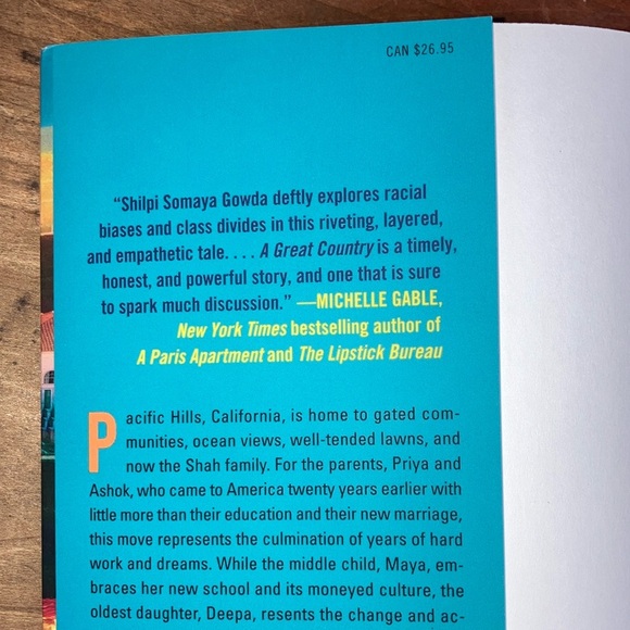 A Great Country by Shilpi Somaya Gowda - Picture 4 of 14